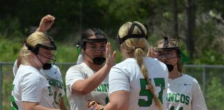 AREA SOFTBALL TOURNAMENT: Hill’s walk-off leads Holly Pond past Susan Moore 5-3 in extra innings