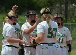 AREA SOFTBALL TOURNAMENT: Hill’s walk-off leads Holly Pond past Susan Moore 5-3 in extra innings
