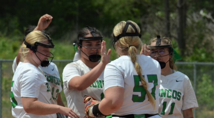 AREA SOFTBALL TOURNAMENT: Hill’s walk-off leads Holly Pond past Susan Moore 5-3 in extra innings