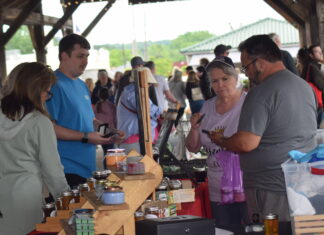 83rd Annual Cullman Strawberry Festival has record number of attendees