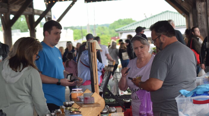 83rd Annual Cullman Strawberry Festival has record number of attendees