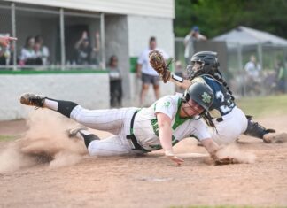 AREA SOFTBALL TOURNAMENT: Holly Pond advances to North Regional with runner-up finish, Lady Bearcats advance with win over Muscle Shoals