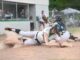 AREA SOFTBALL TOURNAMENT: Holly Pond advances to North Regional with runner-up finish, Lady Bearcats advance with win over Muscle Shoals