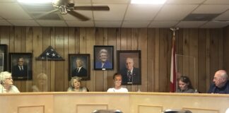 Vinemont Town Council decides to hold review of progress at Vinemont Village and Vinemont Estates after a month