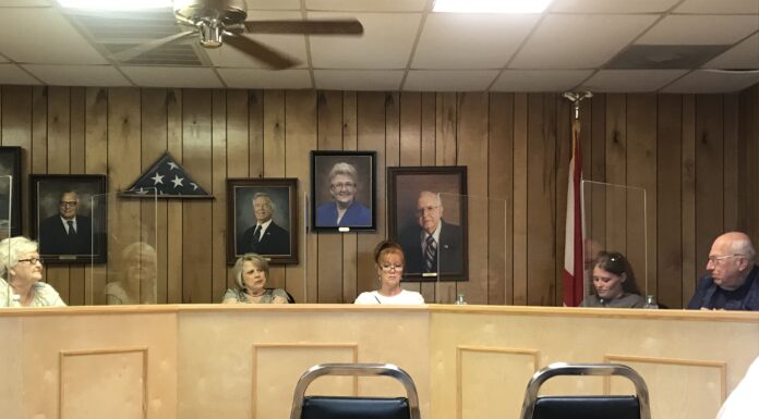 Vinemont Town Council decides to hold review of progress at Vinemont Village and Vinemont Estates after a month