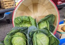 Berlin kicks off Farmers Market season with community event