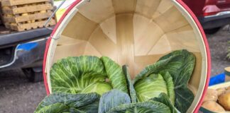 Berlin kicks off Farmers Market season with community event