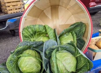 Berlin kicks off Farmers Market season with community event