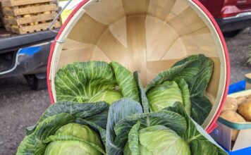 Berlin kicks off Farmers Market season with community event
