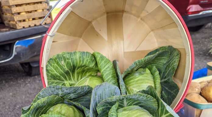 Berlin kicks off Farmers Market season with community event