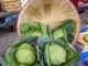 Berlin kicks off Farmers Market season with community event