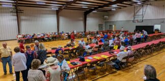 Strawberry Festival Senior Day makes triumphant return Friday