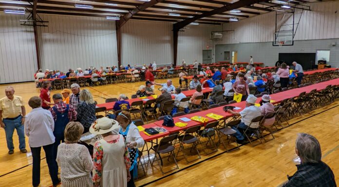 Strawberry Festival Senior Day makes triumphant return Friday