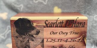 HeavenLee Companion Aquamation offers alternative to flame cremation and burial for family pets