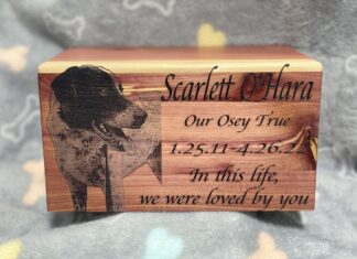 HeavenLee Companion Aquamation offers alternative to flame cremation and burial for family pets