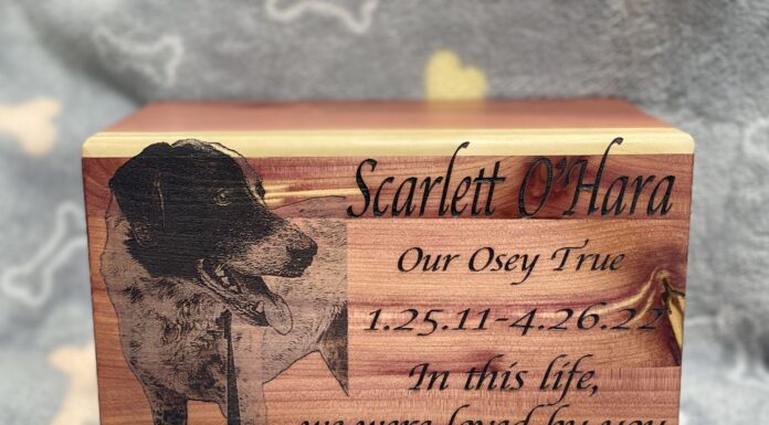 HeavenLee Companion Aquamation offers alternative to flame cremation and burial for family pets