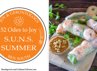 52 ODES TO JOY: S.U.N.S. SUMMER