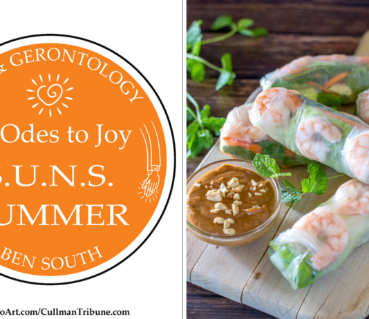 52 ODES TO JOY: S.U.N.S. SUMMER