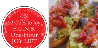 52 ODES TO JOY: THE 1-HOUR S.U.N.S. JOY LIFT