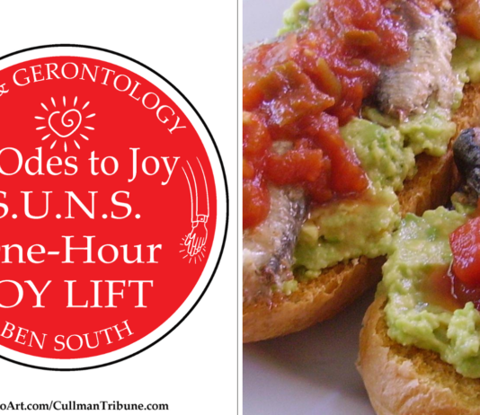 52 ODES TO JOY: THE 1-HOUR S.U.N.S. JOY LIFT