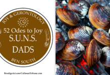 52 ODES TO JOY: S.U.N.S. DADS