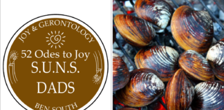 52 ODES TO JOY: S.U.N.S. DADS