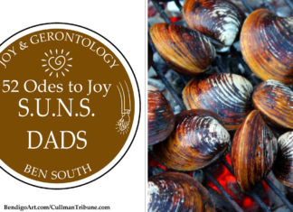 52 ODES TO JOY: S.U.N.S. DADS