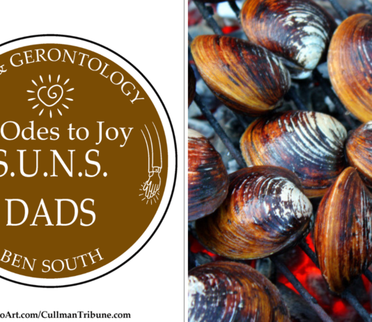 52 ODES TO JOY: S.U.N.S. DADS