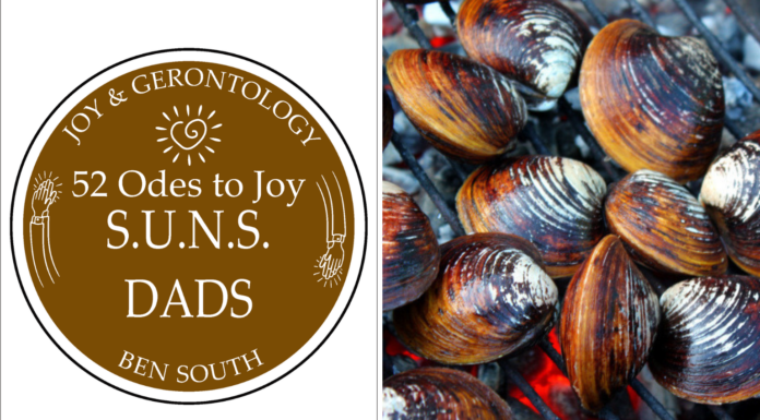 52 ODES TO JOY: S.U.N.S. DADS