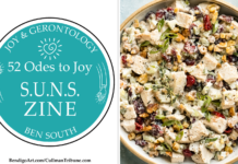 52 ODES TO JOY: S.U.N.S. ZINE