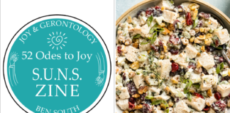 52 ODES TO JOY: S.U.N.S. ZINE