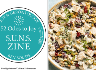 52 ODES TO JOY: S.U.N.S. ZINE