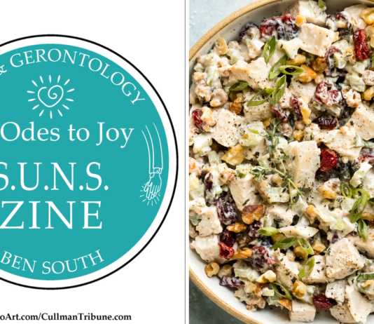 52 ODES TO JOY: S.U.N.S. ZINE