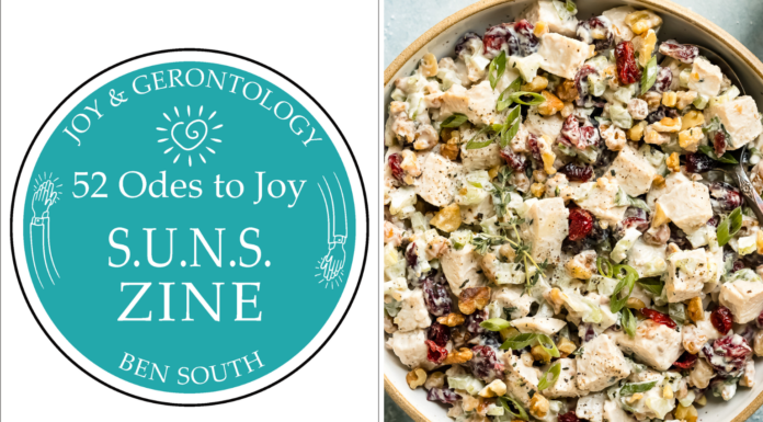 52 ODES TO JOY: S.U.N.S. ZINE