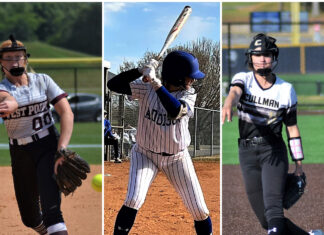 ALL-STATE SOFTBALL: West Point’s Wilkins earns 1st team honors; Addison’s Luker, Cullman’s Shannon earn All-State recognitions