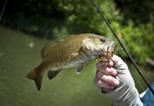 Alabama Department of Public Health issues 2022 Fish Consumption Advisories