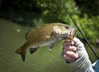 Alabama Department of Public Health issues 2022 Fish Consumption Advisories