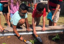 Agriplex ‘Sown in the Soil’ Summer Camp programs taking place in June and July