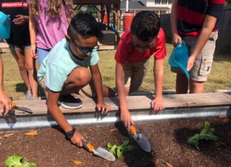 Agriplex ‘Sown in the Soil’ Summer Camp programs taking place in June and July