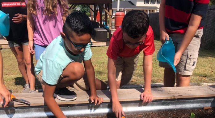 Agriplex ‘Sown in the Soil’ Summer Camp programs taking place in June and July