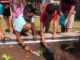 Agriplex ‘Sown in the Soil’ Summer Camp programs taking place in June and July