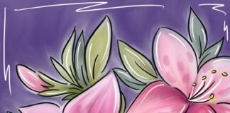 Sips ‘n Strokes takes class to Ave Maria Grotto on Saturday evening