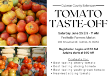 Tomato enthusiasts prepare for Tomato Taste-Off event at Festhalle Saturday