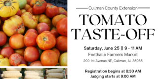 Tomato enthusiasts prepare for Tomato Taste-Off event at Festhalle Saturday