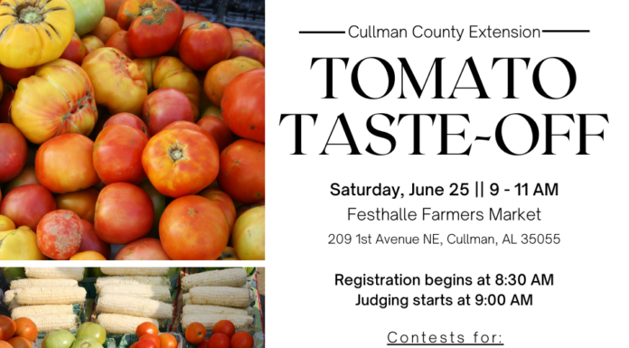 Tomato enthusiasts prepare for Tomato Taste-Off event at Festhalle Saturday