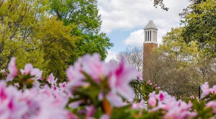 4 local UA students participate in summer 2022 Cooperative Education Program