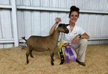 ‘It’s therapy for me’