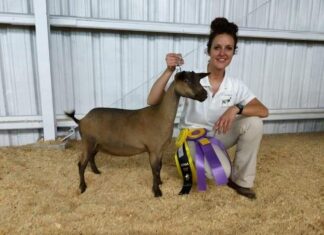 ‘It’s therapy for me’