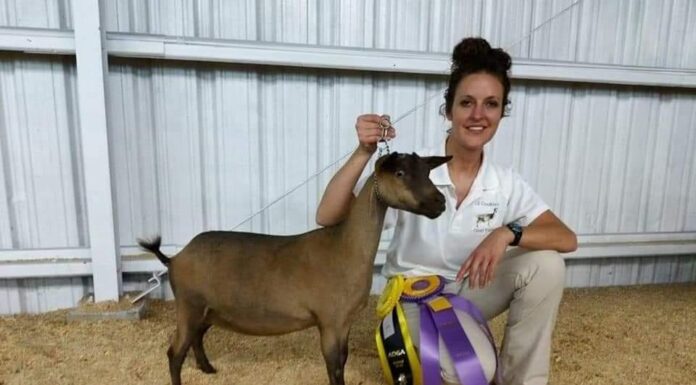 ‘It’s therapy for me’