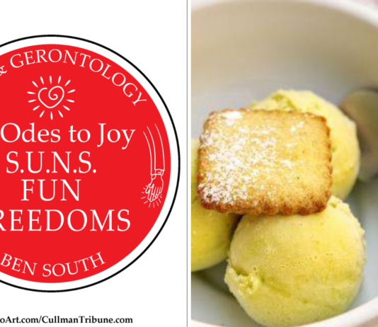 52 ODES TO JOY: FUN FREEDOMS
